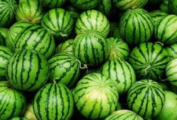 网红爆款吃瓜神器下载,一网打尽娱乐圈新鲜事！