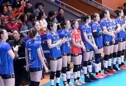 江苏队最新爆料,揭秘球队备战策略与关键球员动态