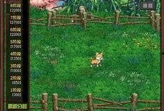 dnf最新爆料2.15,DNF全新内容大揭秘，激战新篇章即将开启！